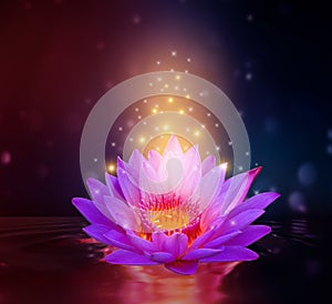 Lotus Pink light purple floating light sparkle purple background