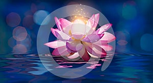 Lotus Pink light purple floating light sparkle purple background