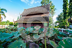 Lotus pods with old church background in the Phuttha Eoen temple