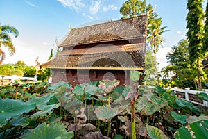 Lotus pods with old church background in the Phuttha Eoen temple