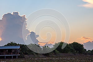 Lotus pond and beautiful sky with sunset and boat for sightseein