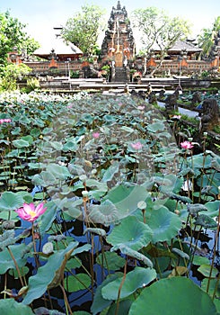 Lotus pond in famous Bali temple, Ubud