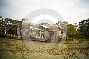 Lotus pond landscape