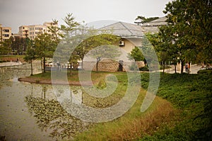 Lotus pond landscape