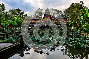 Lotus Pond in Saraswati Temple in Ubud, Bali