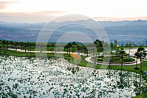 Lotus pond in twilight