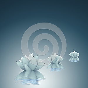 Lotus - Purity background