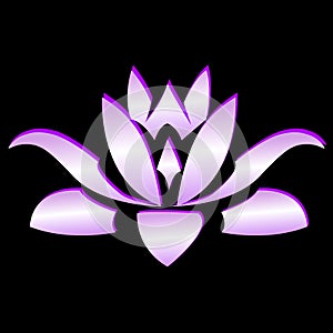 Lotus purple flower