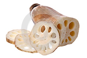 Lotus Root