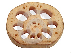 Lotus root