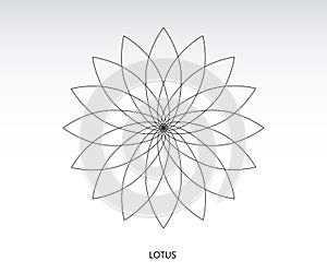 Lotus sacred geometry.