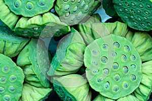 The lotus seeds are bunched together.