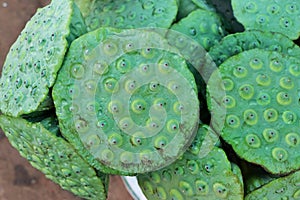 Lotus seeds in pod are used in traditional Chinese medicine.