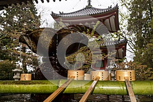 Lotus shaped purification basin and ladles on a bamboo fountain inside the Chion-in Temple of Kyoto, Japan