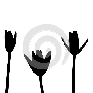 lotus silhouette. black color vector illustration. on white background