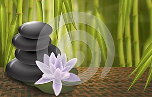 Lotus, spa rocks, Bamboo background