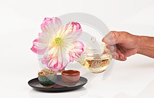 Lotus stamen tea.