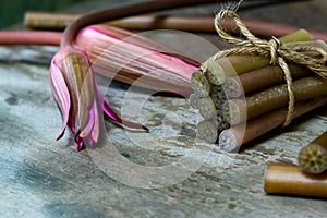 Lotus stem or lotus root. The edible parts of the lotus flower which is found under water