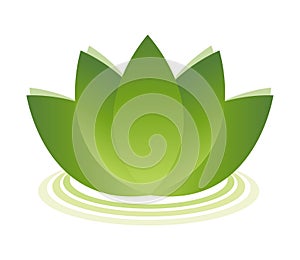 Lotus symbol isolated on white