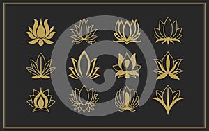 Lotus symbol of symmetrical arrangement. Graphic logo of an open flower bud.