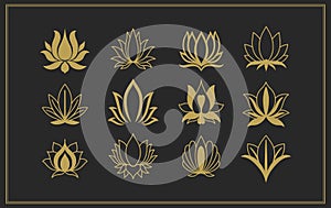 Lotus symbol of symmetrical arrangement. Graphic logo of an open flower bud. photo