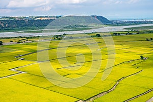 Lotus valley in Waipu