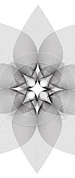 Lotus vector line illusion