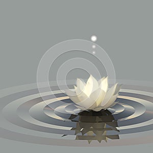 Lotus Water Light