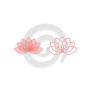 Lotus or water lily blossom pink floral design