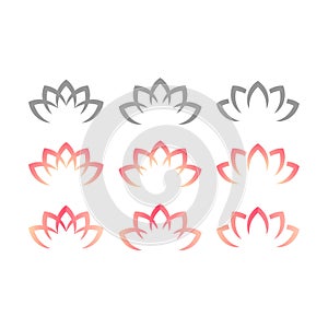 Lotus or water lily blossom pink floral design