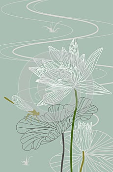 Lotus. Waterlily. Dragonfly. Vector. Illustration