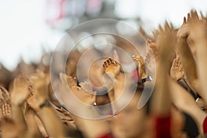 Loud fans cheer at a sporting event