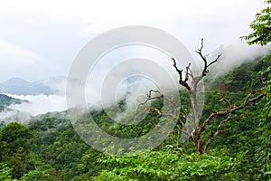 Ð¡louds in the mountains of Mexico