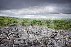 The Lough Avalla Loop Walk