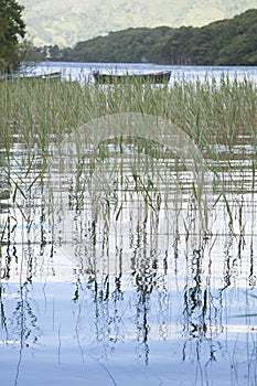 Lough Leane Lake, Killarney National Park photo