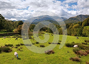 Loughrigg Fell, Cumbria