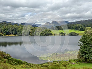 Loughrigg Tarn with Bowfell and the Langdale Pikes on the horizon.