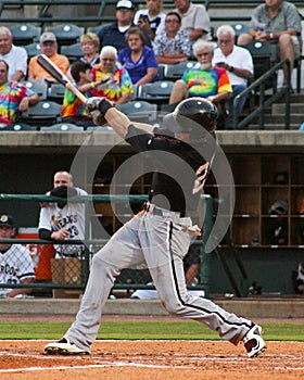 Louie Lechich, Kannapolis Intimidators