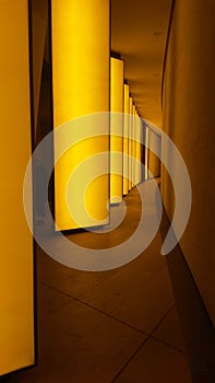 Louis Vuitton Fundation