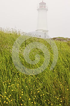 Louisbourg Lighthousein Nova Scotia photo