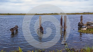 Louisiana Bayou Pilings