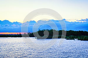 Louisiana Bayou Scene