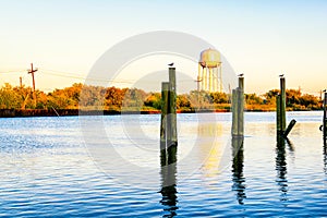 Louisiana Bayou Scene