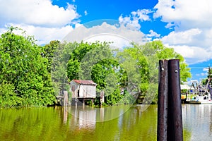 Louisiana Bayou Scene