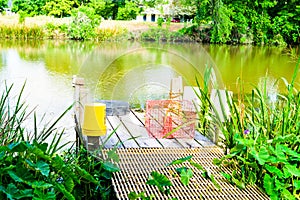 Louisiana Bayou Scene