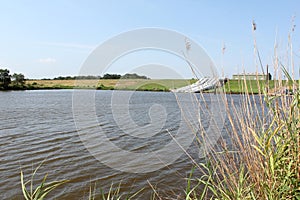 Louisiana Bayou Scene