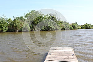 Louisiana Bayou Scene