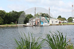 Louisiana Bayou Scene