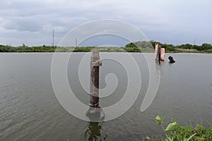 Louisiana Bayou Scene