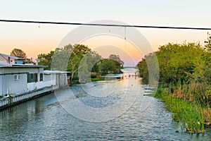 Louisiana Bayou Scene